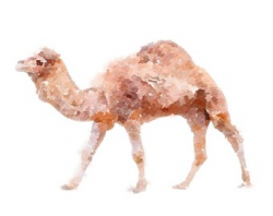 Camel watercolor | Etsy