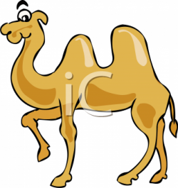 Clipart of a Brown Camel - AnimalClipart.net