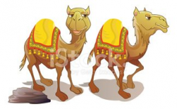 Two Brown Camels Smiling stock vectors - Clipart.me