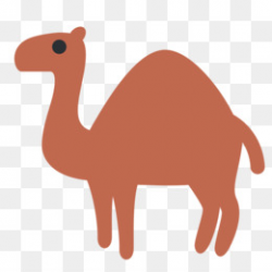 Dromedary Bactrian camel Pig Fiber Clip art - camel png download ...