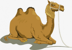 Camel, Desert, Animal PNG Image and Clipart for Free Download
