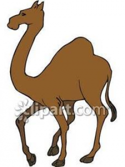 Tall Brown Camel - Royalty Free Clipart Picture