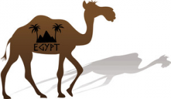Clip art image of a camel walking with the word Egypt on his ...