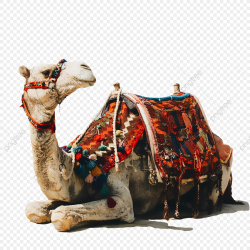 Egypt Camel, Png Cartoon Camel, Egyption, Egypt PNG ...