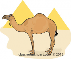 Egypt Camel Clipart