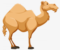 A Camel, Hand Painted, Animal, Camel PNG Image and Clipart for Free ...