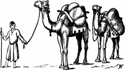 Cute Camel Drawing at GetDrawings.com | Free for personal use Cute ...