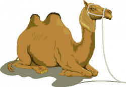 Camel Clip Art PG 1