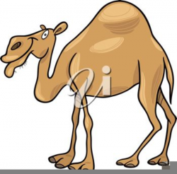 Geico Camel Clipart | Free Images at Clker.com - vector clip art ...