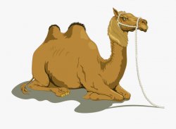 Camel Lying Down - Sitting Camel Clipart #615806 - Free ...