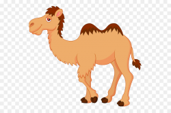 Camel Royalty-free Cartoon Clip art - Moroccan Camel Cliparts png ...