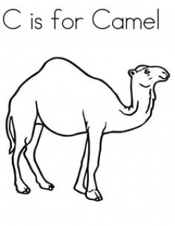 Camel Face Clip Art | Coloring pages » Camel Coloring pages ...