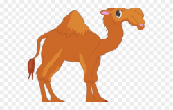 Camel Clipart Yellow - Arabian Camel - Png Download (#298798 ...