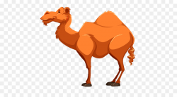 Camel Royalty-free Clip art - cartoon camel png download - 500*500 ...