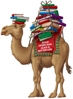 439 best Crazy for Camels images on Pinterest | Camel, Camels and ...