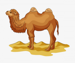Desert Camel Yellow, Leave The Material, Cartoon, Desert Camel PNG ...