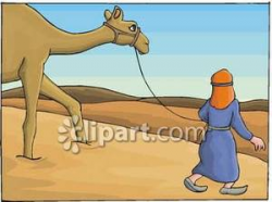 Person Leading A Camel In the Desert - Royalty Free Clipart Picture