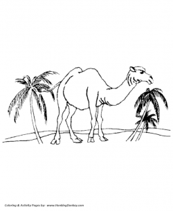 Camel In Desert Drawing at GetDrawings.com | Free for personal use ...