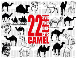 CAMEL SVG, desert animal svg, camel clipart, camel png, sahara svg ...