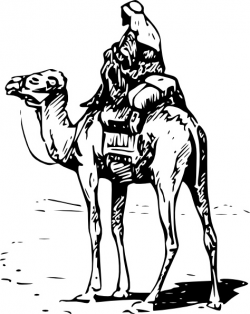 Person Riding Camel clip art Free vector in Open office drawing svg ...