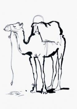 artists drawings of camels | Camel sketches by astrocity20 on ...