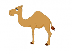 Shrewd Cartoon Image Of Camel Clipart #7308