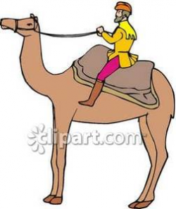 Man Riding A Dromedary Camel - Royalty Free Clipart Picture