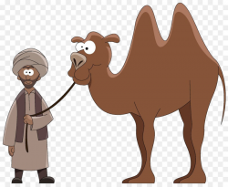 Dromedary Cartoon Stock photography Clip art - camel png download ...