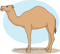 Camels clipart easy - Pencil and in color camels clipart easy