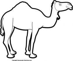 clipart of camel free - Google Search | Nativity | Pinterest | Camels