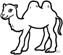 Image result for camel line drawing | a's activities | Pinterest ...