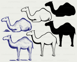 Camel svg/camel clipart/camel svg/camel silhouette/camel