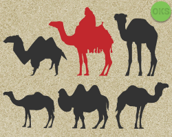 Camel svg, camel svg files, camel vector, camel clipart ...