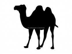 Camel Svg Dxf Png Cut File, Camel Image Svg, Camel Svg Clipart, Camel  Vector Files, Camel Engrave Svg, Camel Cutting File