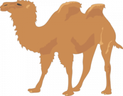 Camel With Two Humps Clip Art at Clker.com - vector clip art online ...
