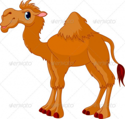 Camel | Camels, Church ideas and Project ideas