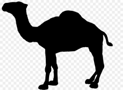 Camel Logo PNG Logo Clipart download - 1084 * 794 - Free ...