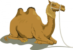 Free camels clipart free | Clipart Panda - Free Clipart Images