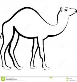 Professional Camel Outline Camels Coloring Page Free Printable #2712