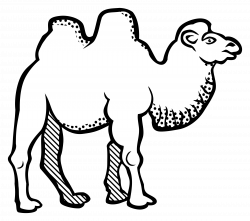Clipart - camel - lineart