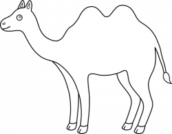 Camel Outline Clipart