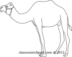 Camel Drawing Outline at GetDrawings.com | Free for personal use ...