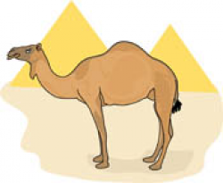 Search Results for camel clipart - Clip Art - Pictures - Graphics ...
