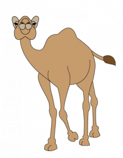 WebbyWanda.tv's How to draw a cartoon camel step SIX | art journal ...