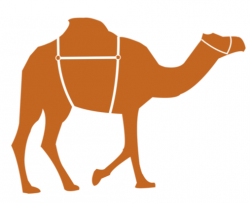 Camel Spider Harness DIY Workshop - Australian Camels