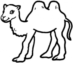 Bactrian Camel Baby coloring page | Free Printable Coloring Pages