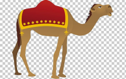 Camel Nativity Scene PNG, Clipart, Arabian Camel, Camel ...