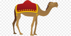 Camel Nativity scene Clip art - Moroccan Camel Cliparts png download ...