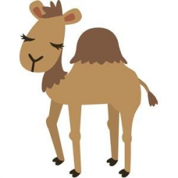 213 best Camels images on Pinterest | Camels, Camel and Camel animal