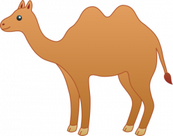 Camel clipart she - Pencil and in color camel clipart she